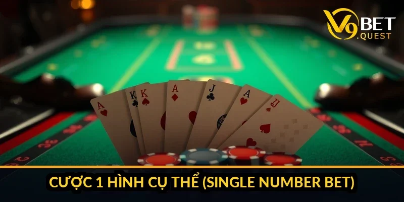 Cách chơi bầu cua online V9bet - Luật, tỷ lệ thưởng và chiến thuật 2026 3 So sánh house edge các loại cược bầu cua V9bet